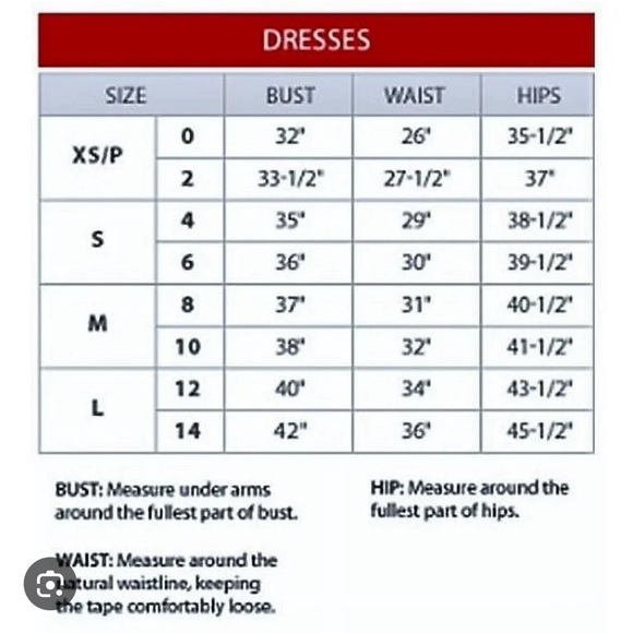 Calvin Klein- Belted Sheath Dress Charcoal Grey Sleeveless Button Up - Picture 6 of 6